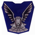 空軍飛行訓練指揮部空運組